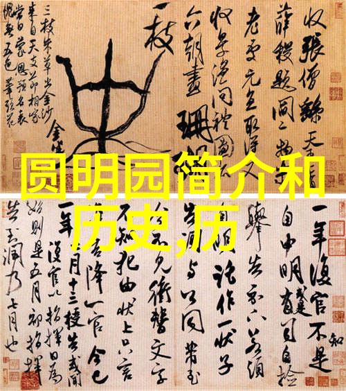 上海二次元文化体验探索周边店铺的魅力