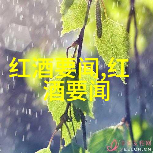 皇后之争权力的游戏与爱情的纠葛