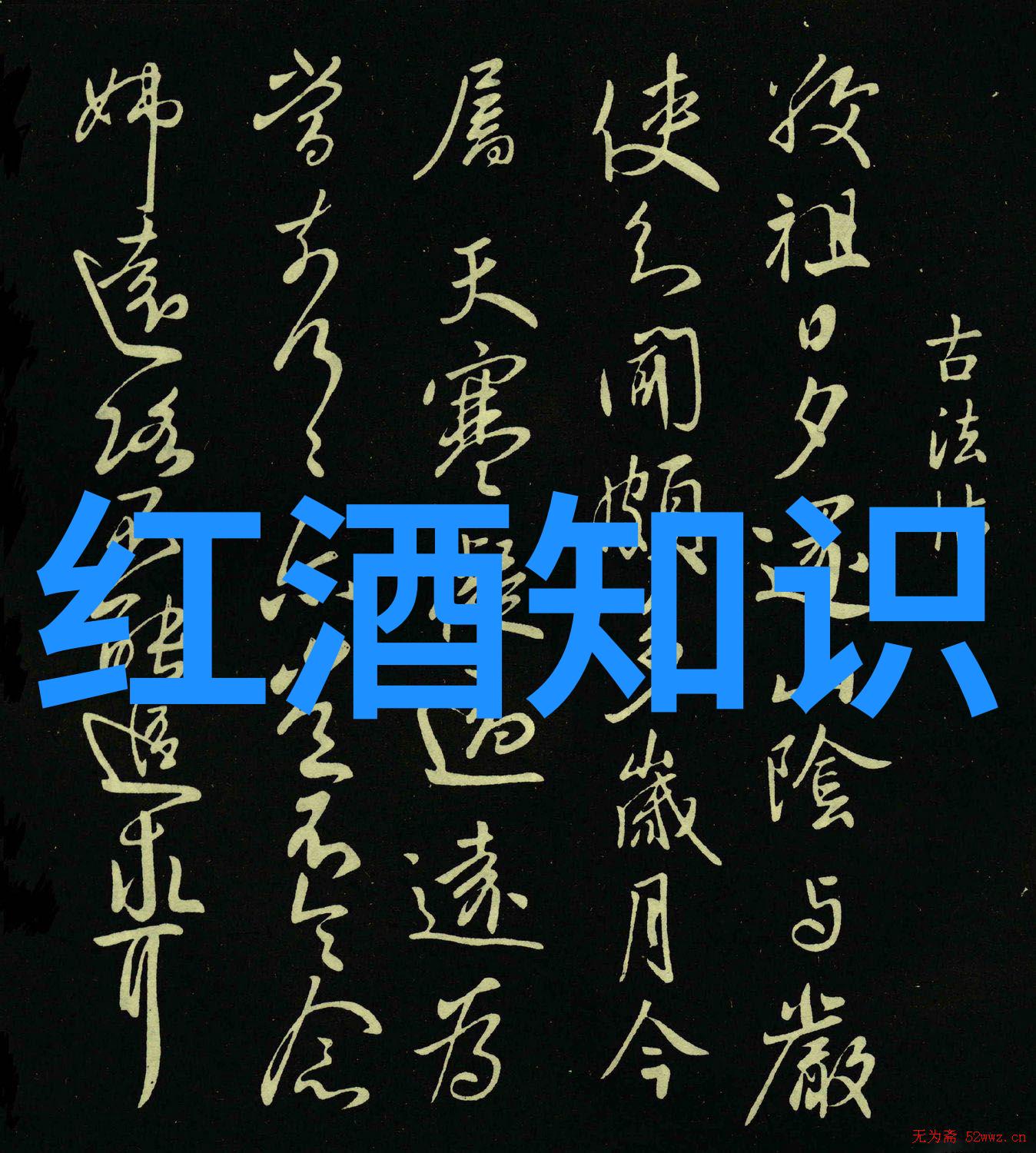 智慧的探索解开时间与空间的谜团
