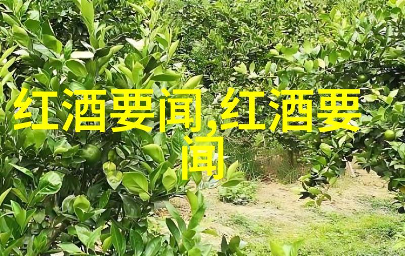 酒香里藏哲学探索酒文化的深邃内涵