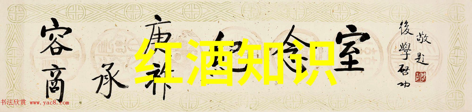 中国足球队世界杯竞赛中国足球队在世界杯上的英勇战斗