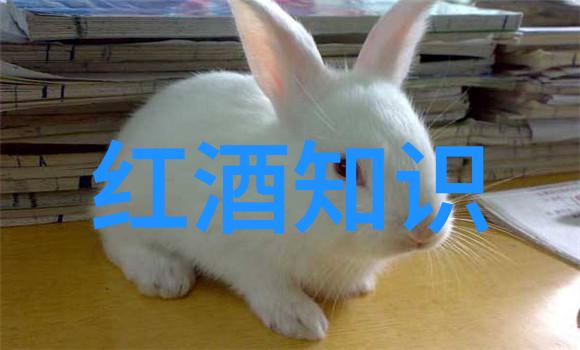 深邃收藏店的秘密