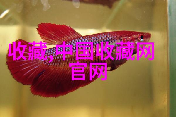 教育科技-智慧解锁答案库搜题系统的智能学习新篇章