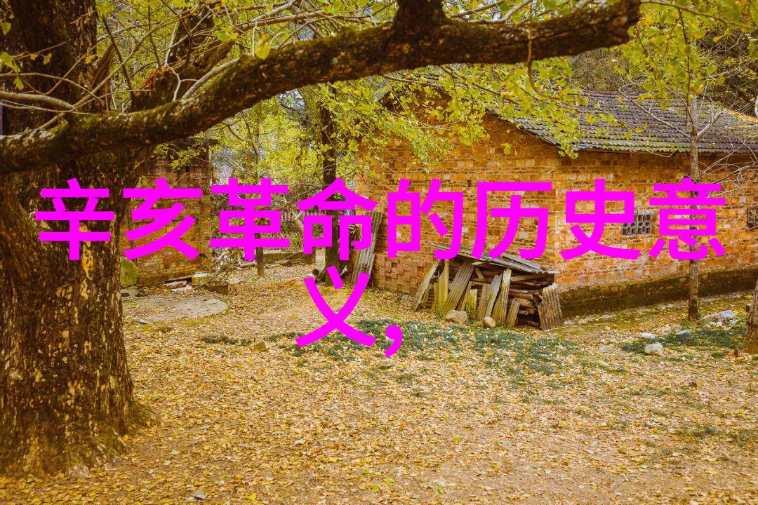 江南水乡之谜探秘上海周边民宿农家乐