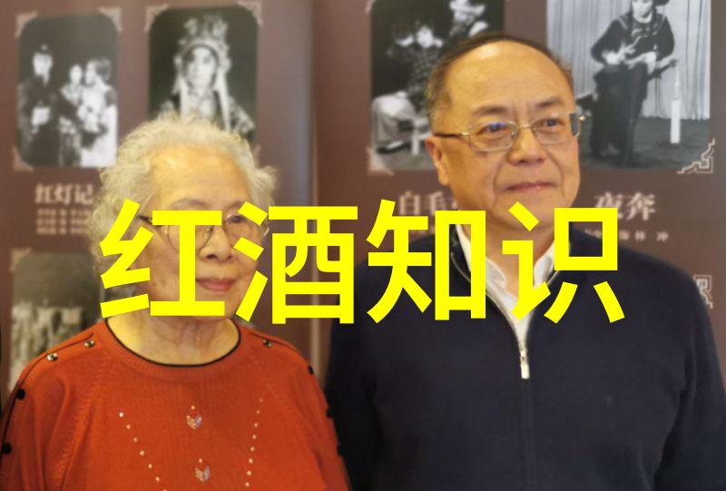 红酒的煮法探索一种不同寻常的美食文化