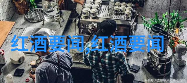 绽放的浪漫全球玫瑰花品种大汇总与精彩图片展览
