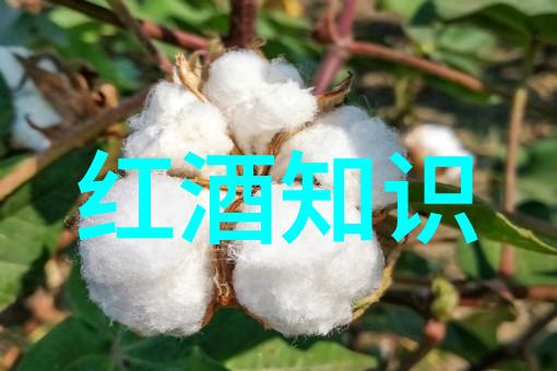 唐朝的最后一曲
