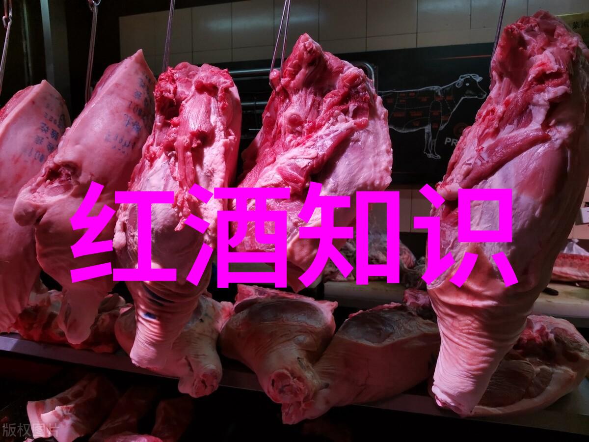 真实的玉米图像展现农田的丰收盛宴