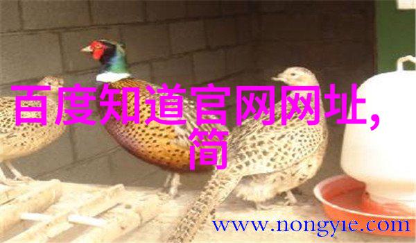 人物图片大全高清图片 - 人像艺术展探索人物图片大全中的高清魅力