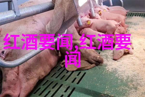 花间秘笈揭秘那些不为人知的玫瑰花名