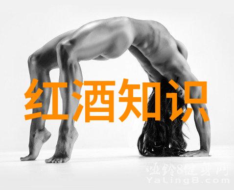 亲子启蒙系列之一教孩子认识不同类型的小朋友们 从小开始学习各种可爱毛茸茸的小动物们