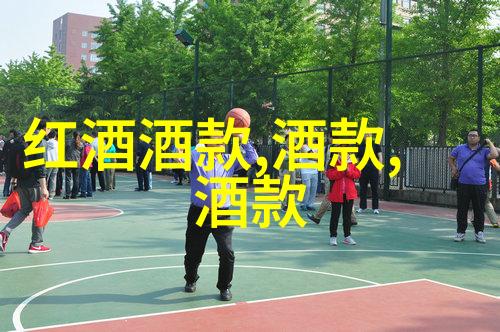 品味红酒文化葡萄园到杯台的浪漫之旅