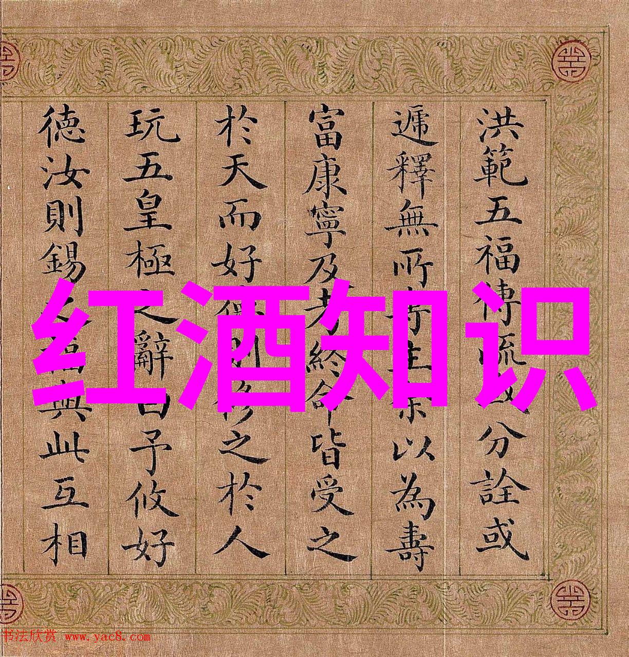 尽在细节中学习辨别常见和罕见的猫品种特征