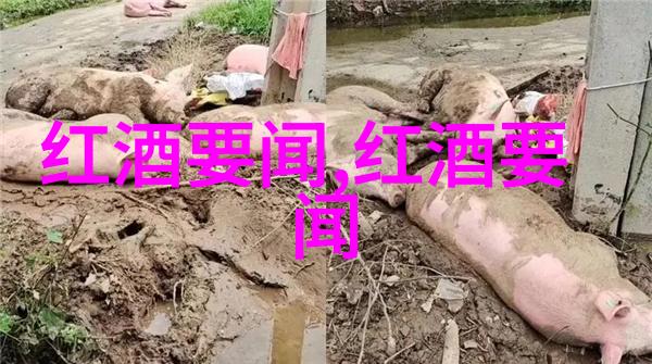 类似百度问答的平台我遇到的那些奇怪问题和答案