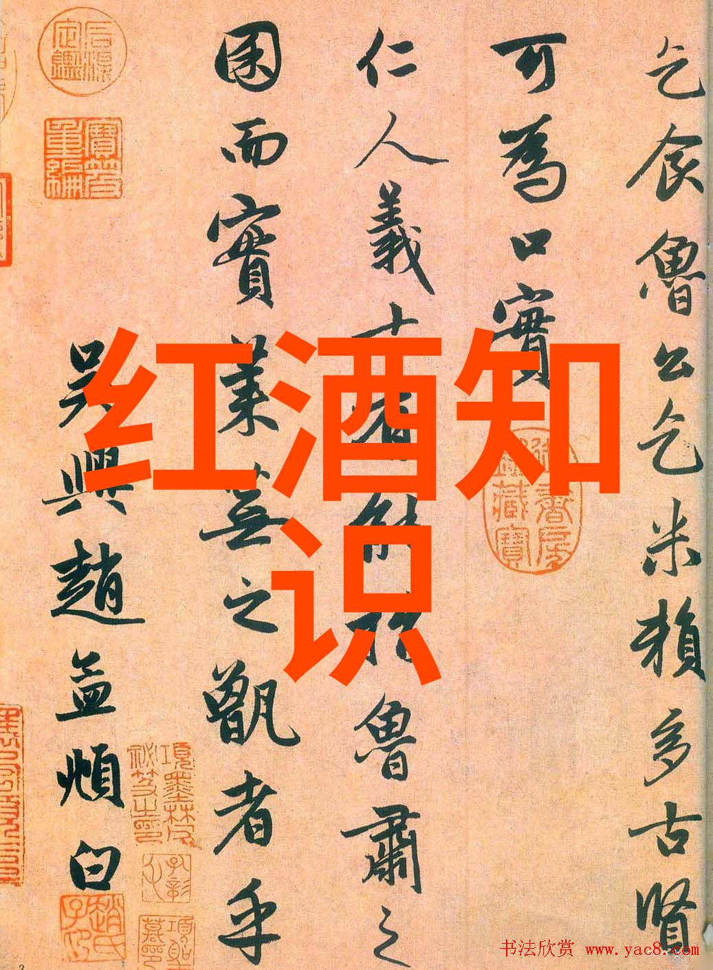 走遍欧洲寻找精华哪些地方的白兰地最受赞誉
