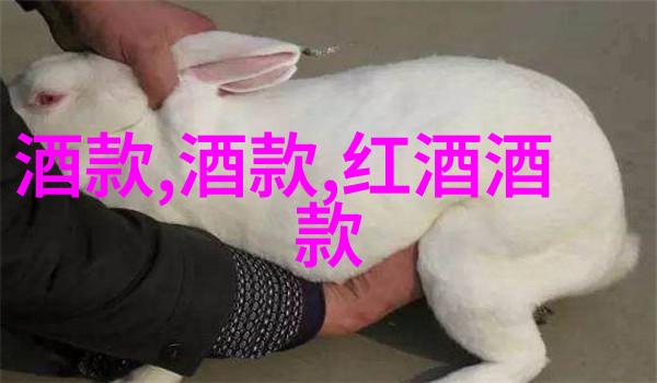 8. 除了波斯和英國短毛还有没有其他两只以美丽而闻名的大型猫类别它们各自排在第几位呢