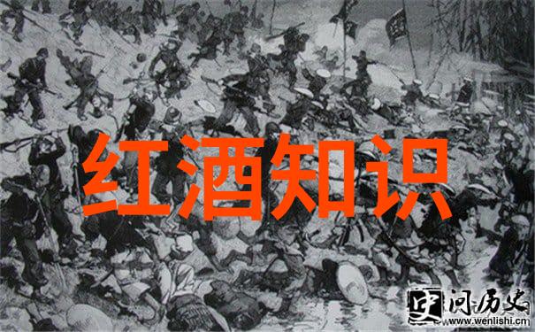 人与畜禽共性的视频我发现了我们和动物有多像