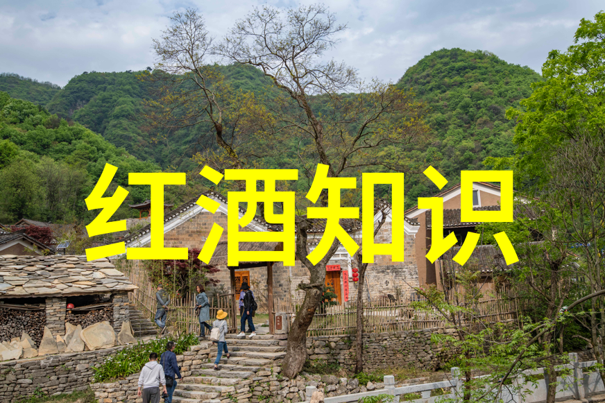 杂志收藏的经济成本分析精确计算每本杂志的价格