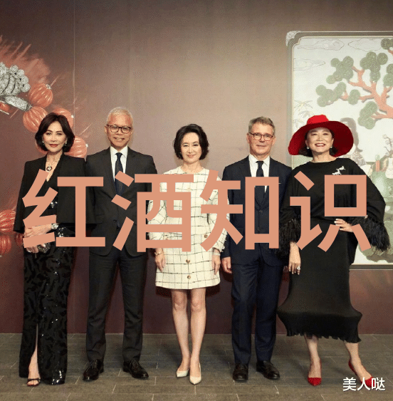短毛与长毛