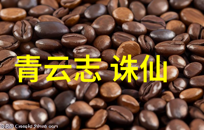 青云志 诛仙（仙侠世界中的传奇爱情）
