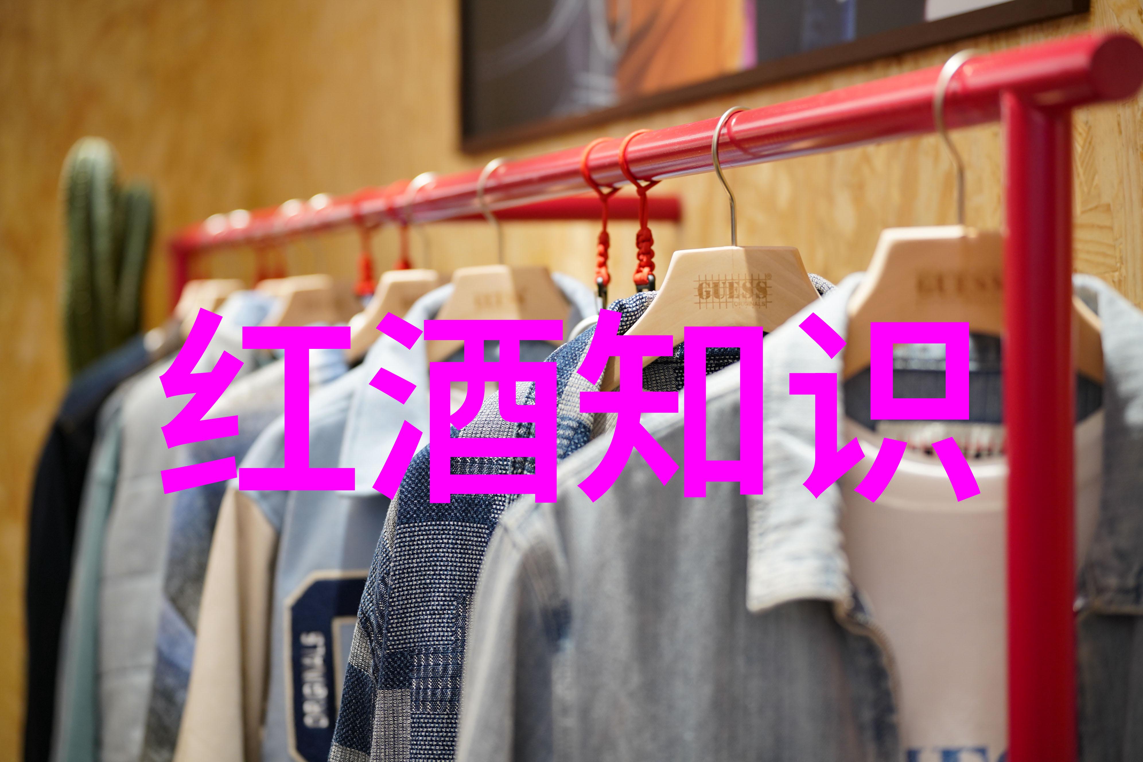 世界葡萄酒产区分布我带你去探索葡萄酒的故乡