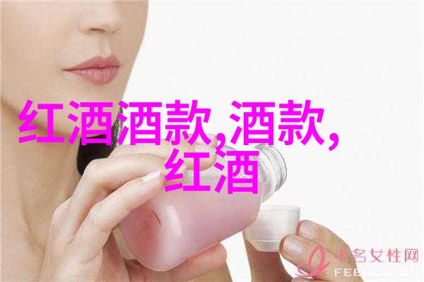 欧洲中世纪庄园的传奇故事阿尔诺堡的秘密与荣耀