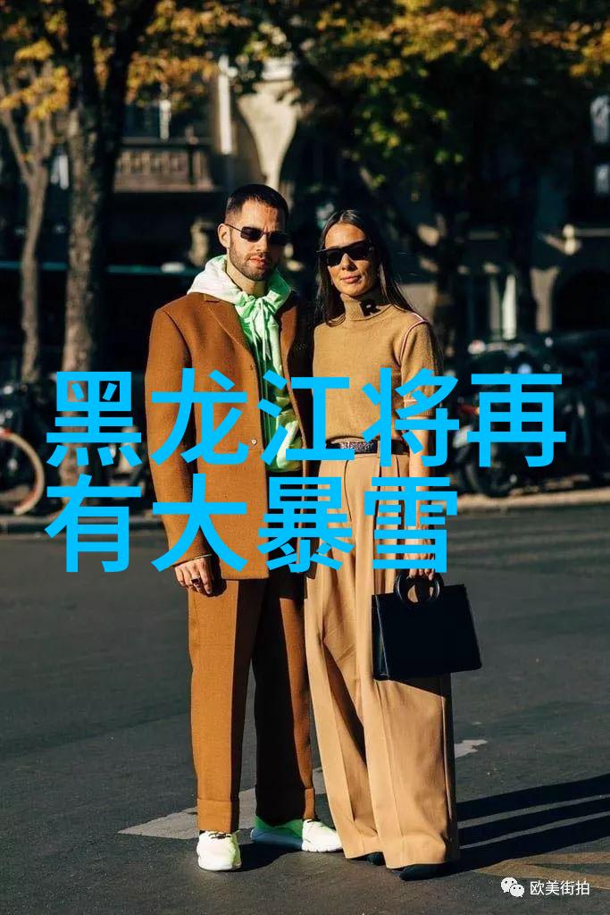 心灵的宝库收藏之美的极致探究