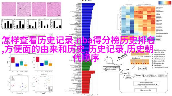 埃及马尔