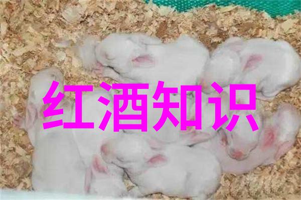 听听它们在说话吗解读不同品种的叫声语调