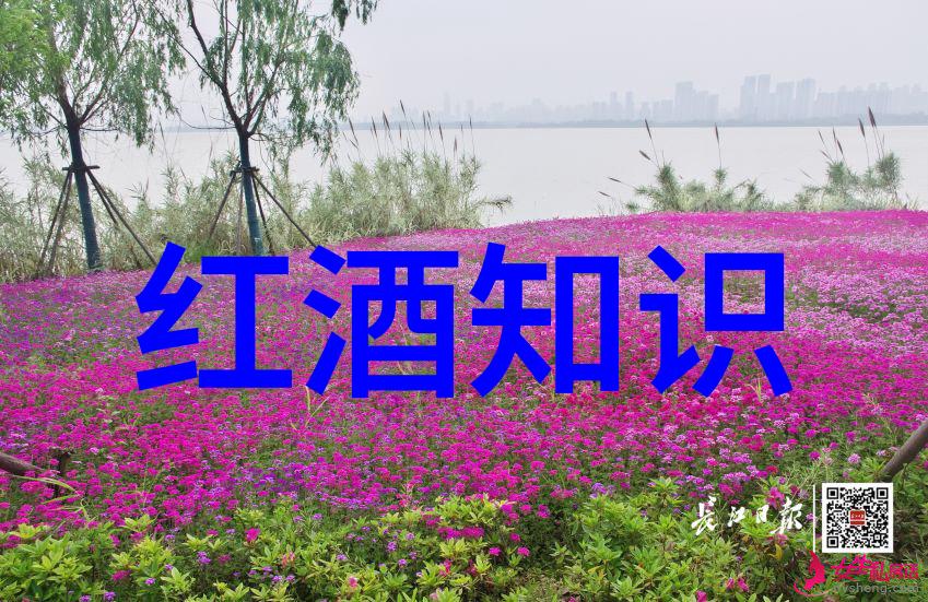 爱情趣味问答贵州茅台悠蜜蓝莓利口酒的故事数据解析