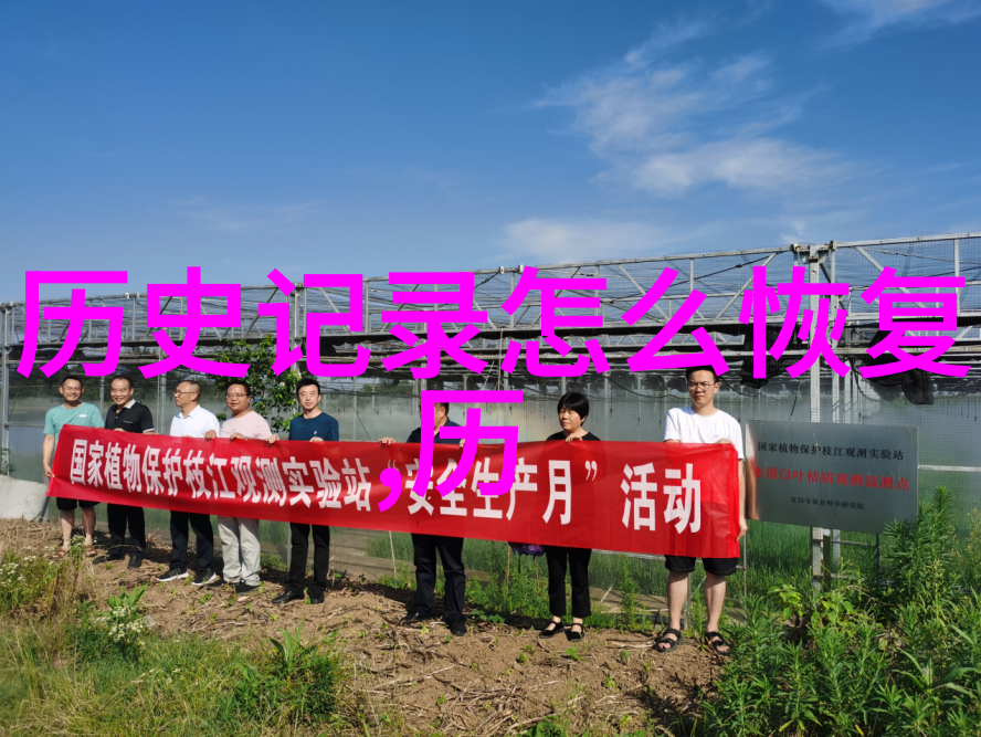 玉米的丰富品种从甜玉米到高粱探索美味与多样性
