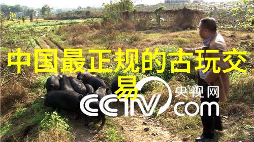 镜中花月下影我们继续时光倒流的美丽瞬间