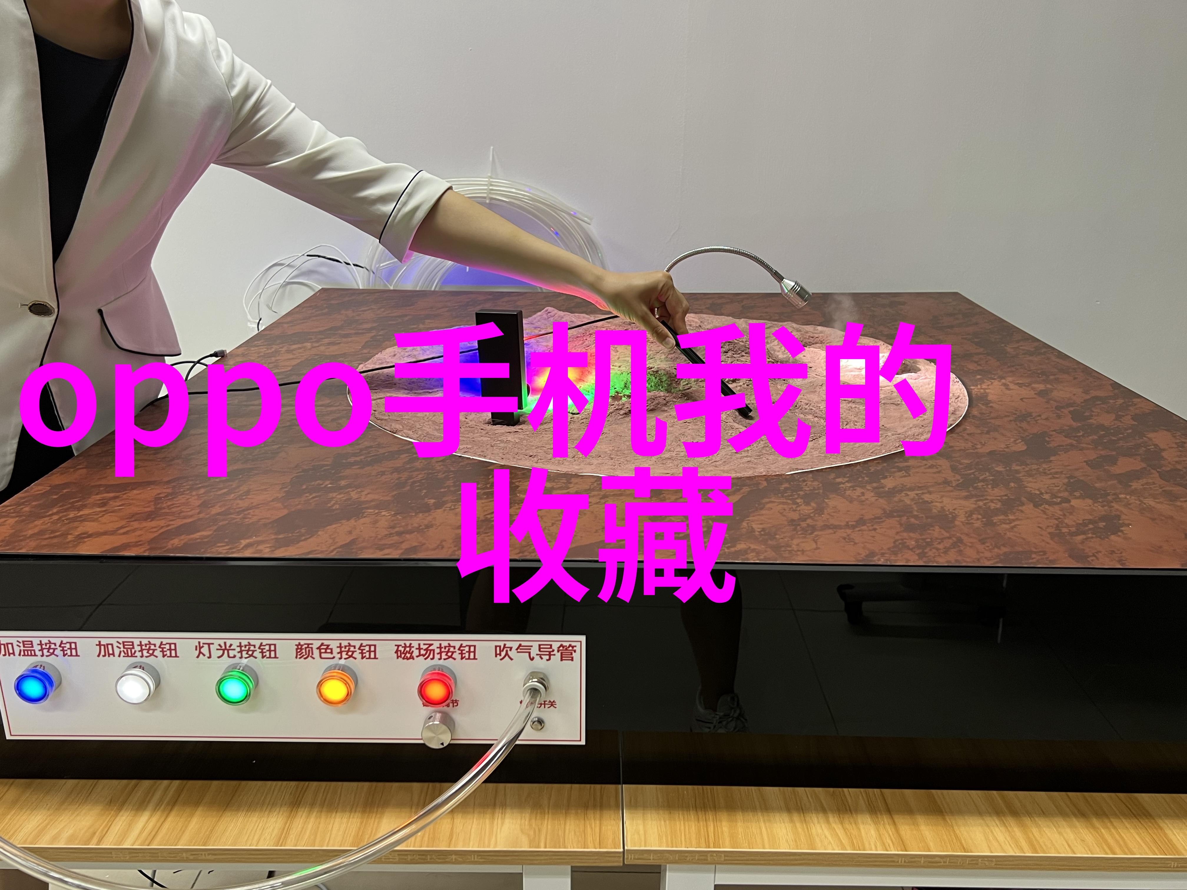 在中国哪些是常见的玉米高产品种