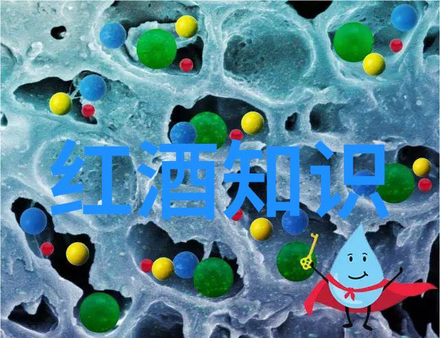 云酒窖蜕变之旅加彬酒庄醉心之境