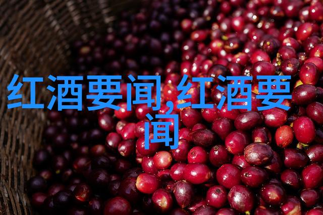 如何在巴黎品尝到真正的布鲁瓦地区美酒