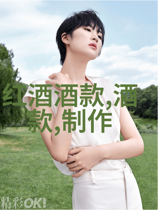 品味红酒文化白酒啤酒与葡萄酒的优美风尚及潜在影响