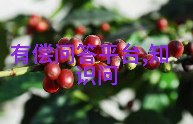 深圳周边2天短途探秘海岸线与山脉的交响乐