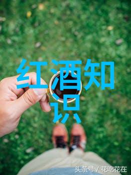 暑假适合带娃旅游的地方我们去哪儿玩暑假带宝贝的10大必去地