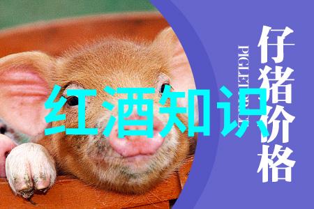 收藏杂志有哪些不同的分类和特点