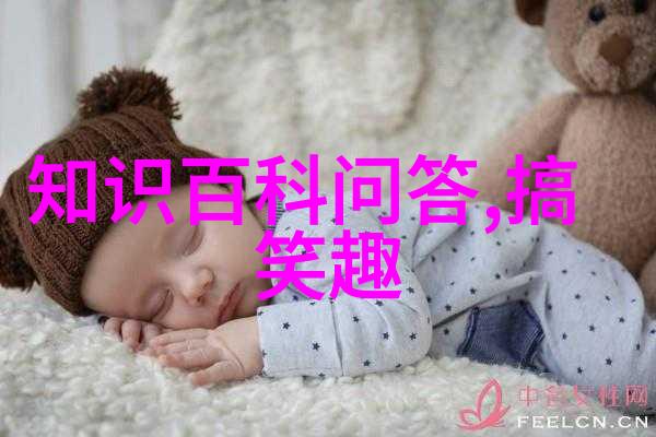 布鲁索姆路酒庄今日蚂蚁庄园答题答案之谜