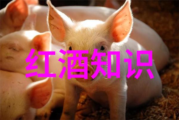 生活常识题库精选解锁日常智慧的钥匙