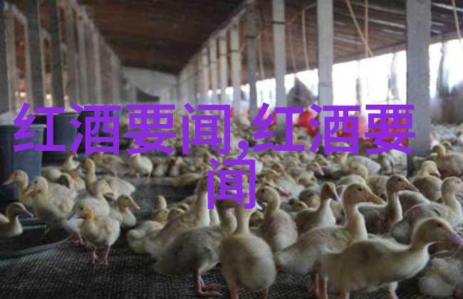 微信收藏的视频怎么转发到朋友圈-如何将心爱的微信视频内容分享给更多人