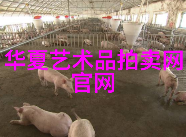 主题我来推荐几本超级棒的收藏类杂志哦