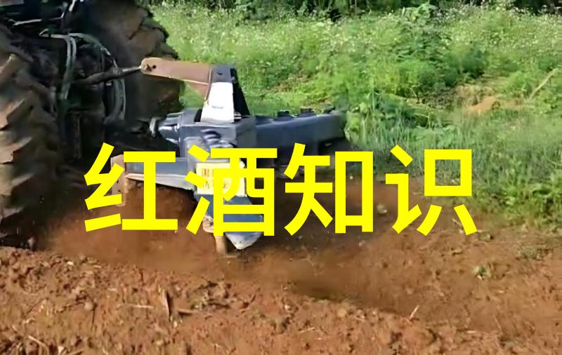 北京四大收藏家的巨额投资让悉尼酒窖一夜之间回本万倍亿万富翁葡萄酒客户的光临如同春风拂面吹醒了这片土地