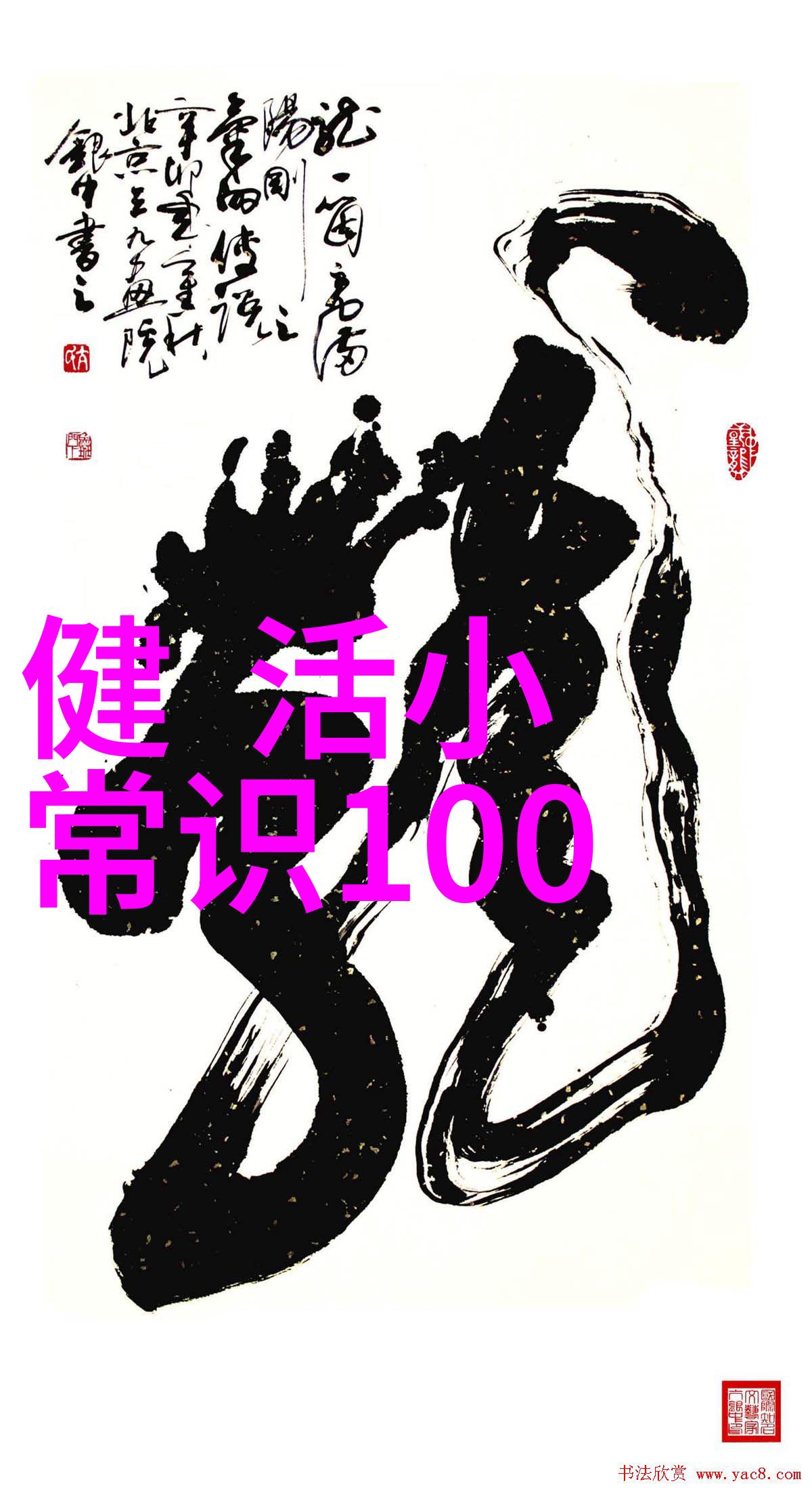 普洛赛克之风轻拂过猫咪的全方位宠儿名单一场繁花似锦的夸张盛宴