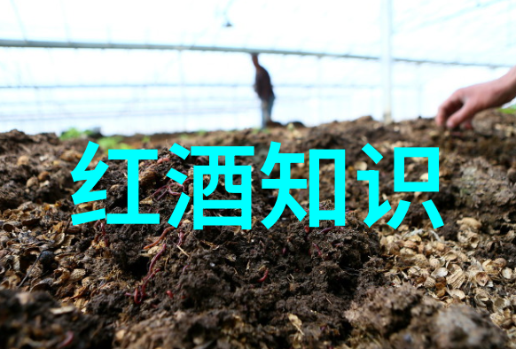未来收藏的纸币升值空间寻找增值潜力之谜