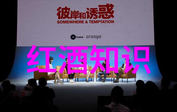 2008金瓶高清完整版-重温经典2008年金瓶梅高清完整版的艺术价值与流行文化