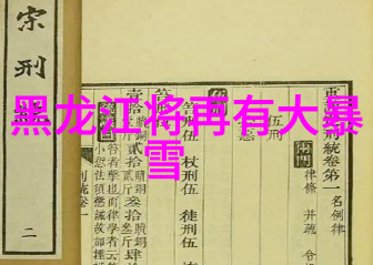 Sesexi探索时尚界的新一代魅力