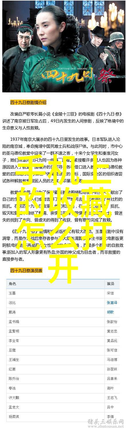 全球猫咪市场品种价格排名分析