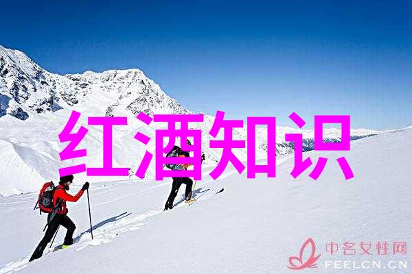 猫品种美短探究其外观特征与遗传基础的学术研究